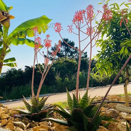 Magnifique Vue Et Montagne A Corse * Sari-Solenzara